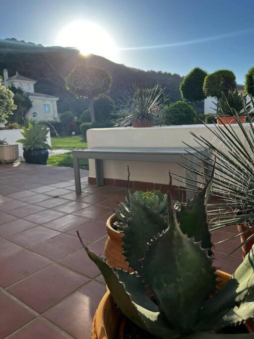 Ruim Appartement, Zonnig Terras, Alhaurin Golf! Alhaurín el Grande Eksteriør billede
